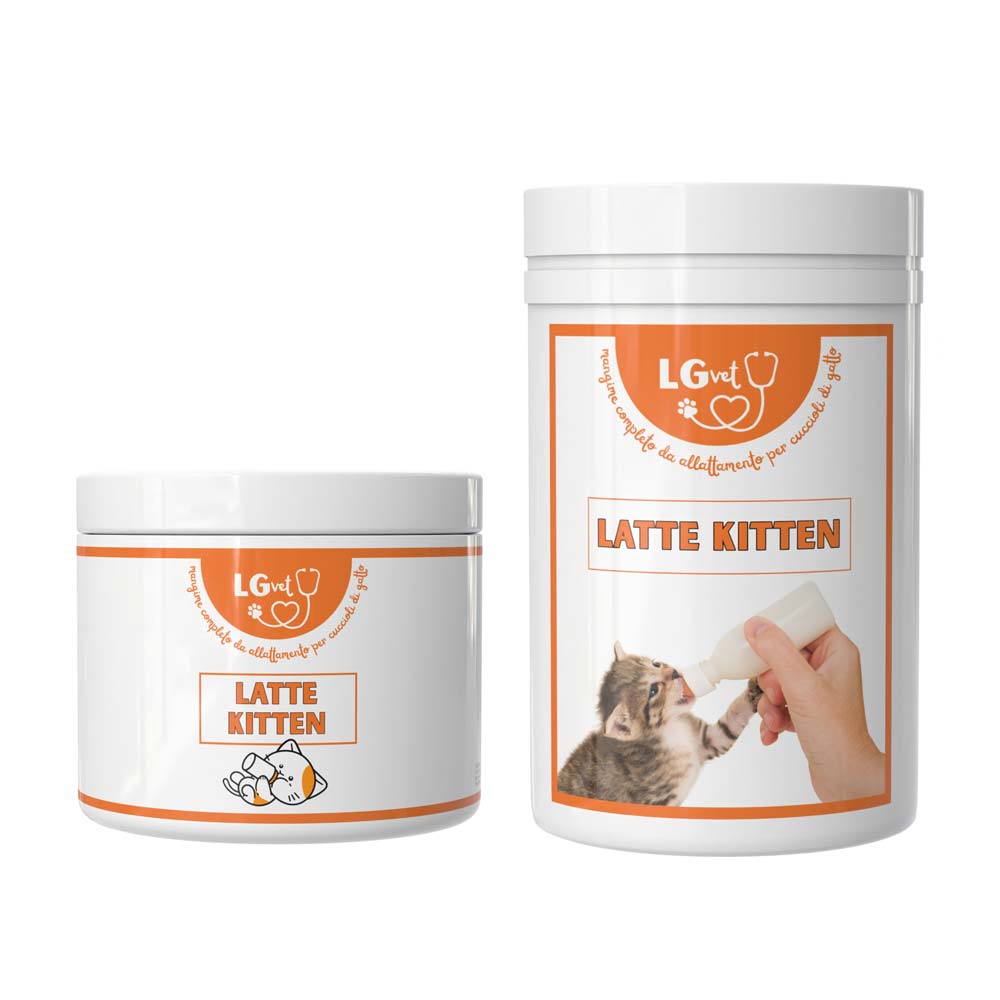 Latte Kitten 1 Latte Kitten