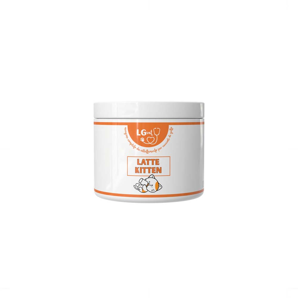 Latte Kitten 3 Latte Kitten - immagine 3