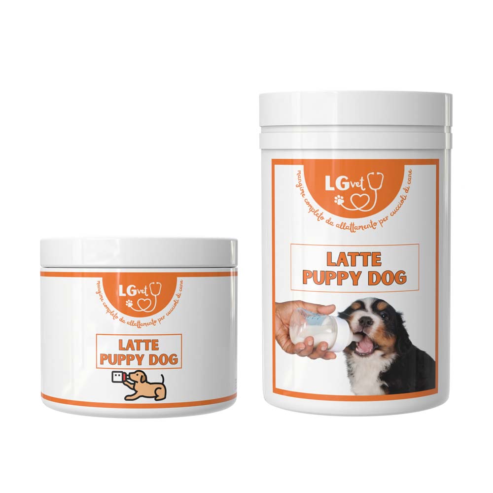 Latte Puppy Dog 1 Latte Puppy Dog